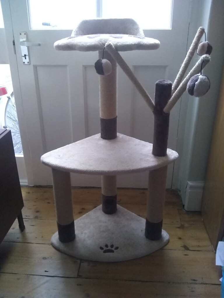 avery ascent cat scratch tower